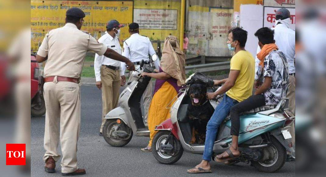 Registration of pet shops made must to check zoonotic diseases | Nagpur ...