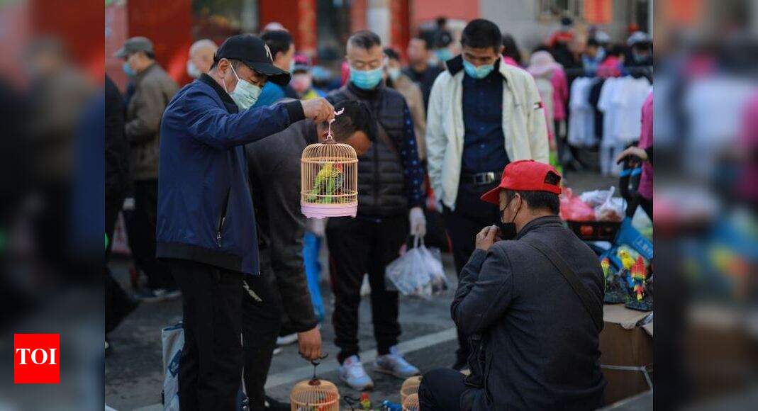 China Coronavirus Cases: China reports 16 new coronavirus cases amid ...