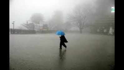Southwest monsoon: 20 districts in Tamil Nadu likely to get normal rainfall, TNAU forecasts