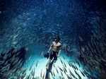 Underwater Photos