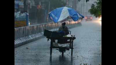 Chennai: Light rain likely in the next 48 hours, says IMD