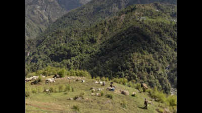 In Himachal Pradesh, shepherds get access to mountains