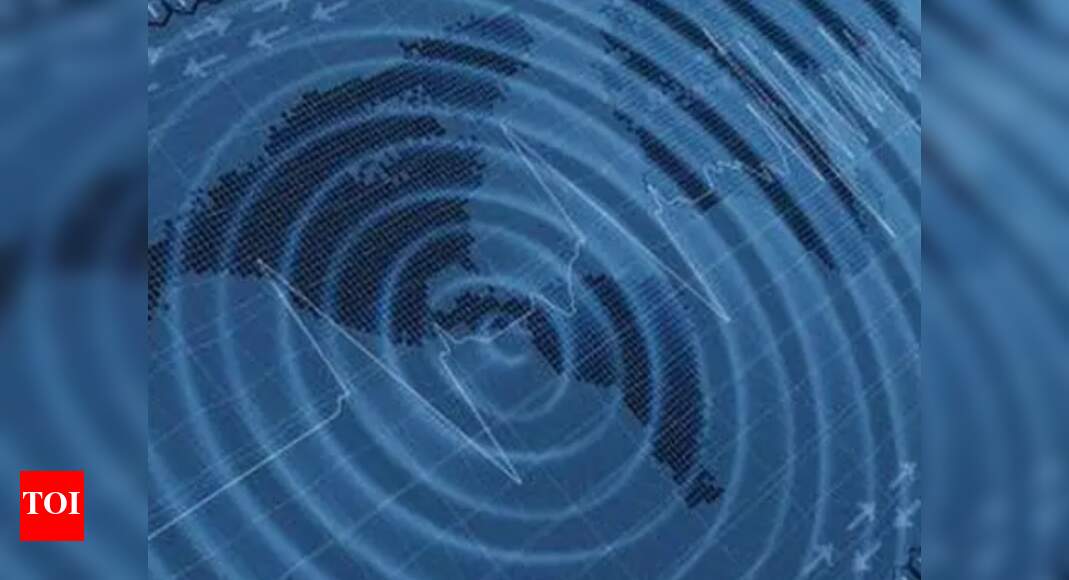 Delhi: Series of quakes danger sign? Experts debate