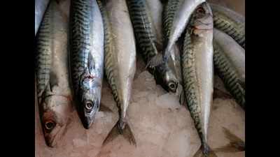 Madurai: Officials shut down fish and meat stalls