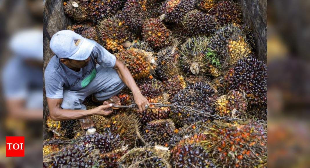 Malaysia Palm Oil News India Resumes Purchase Of Malaysian Palm Oil Report India Business News Times Of India