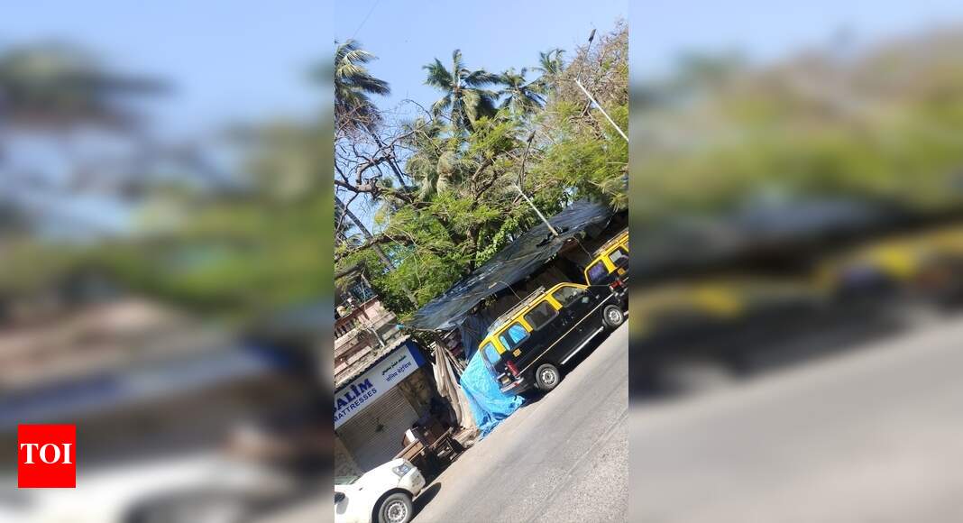 ILLEGAL WIDESPREAD BAMBOO SHEDS RECONSTRUCTED Times of India