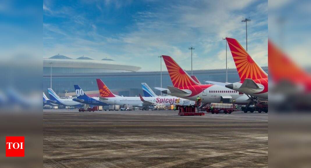 Domestic flights to resume from May 25: Govt