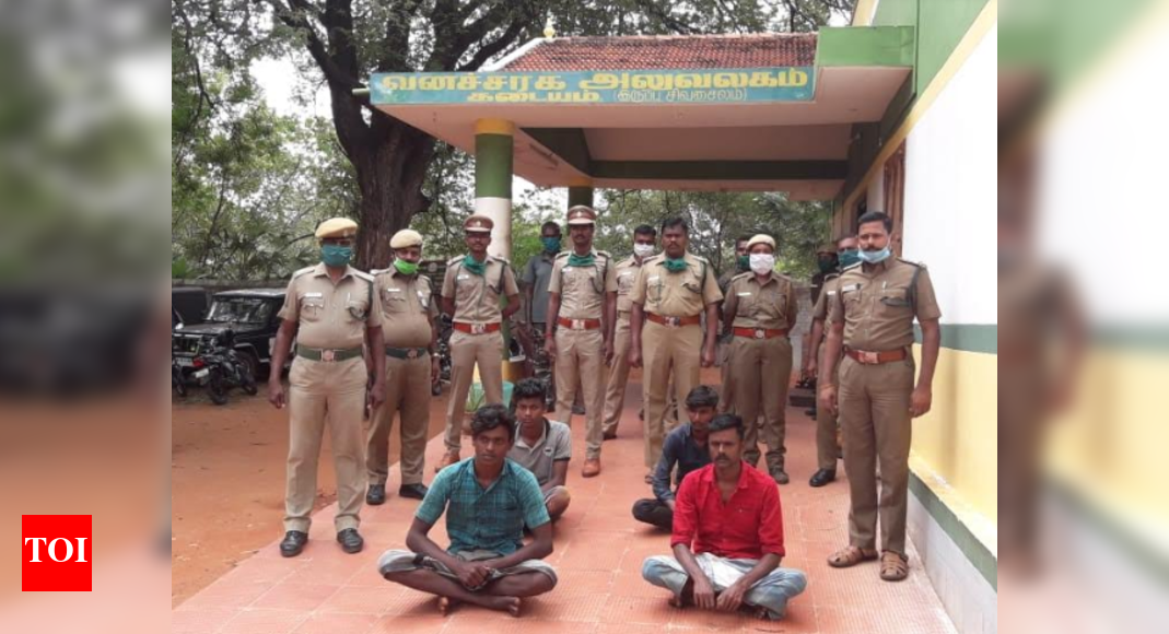Four arrested for hunting monitor lizards in Tamil Nadu Madurai News