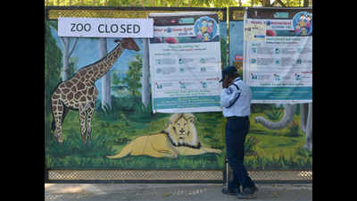 Covid-19 lockdown offer: Nearly 100 animals adopted at Bengaluru zoo