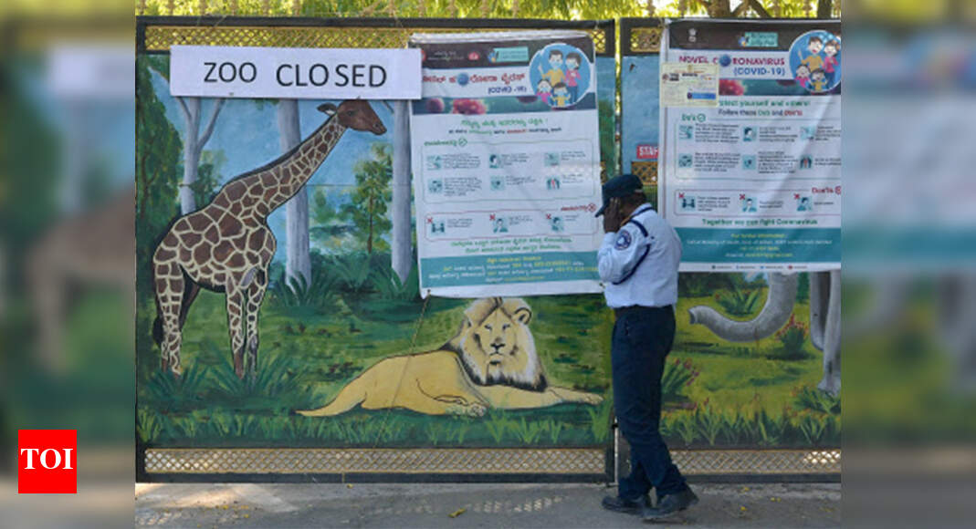 Covid-19 lockdown offer: Nearly 100 animals adopted at Bengaluru zoo | Bengaluru News – Times of India Covid-19 lockdown offer: Nearly 100 animals adopted at Bengaluru zoo | Bengaluru News – Times of India
