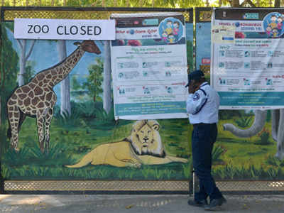 Covid-19 lockdown offer: Nearly 100 animals adopted at Bengaluru zoo |  Bengaluru News - Times of India