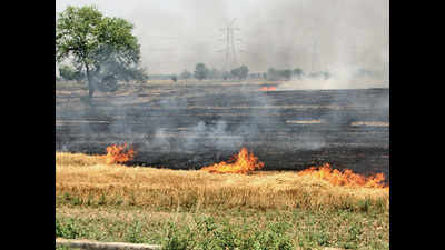 223 single-day stubble burning cases in Haryana