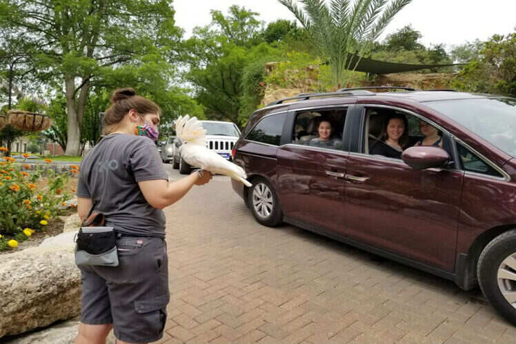 Drive-thru zoo experience