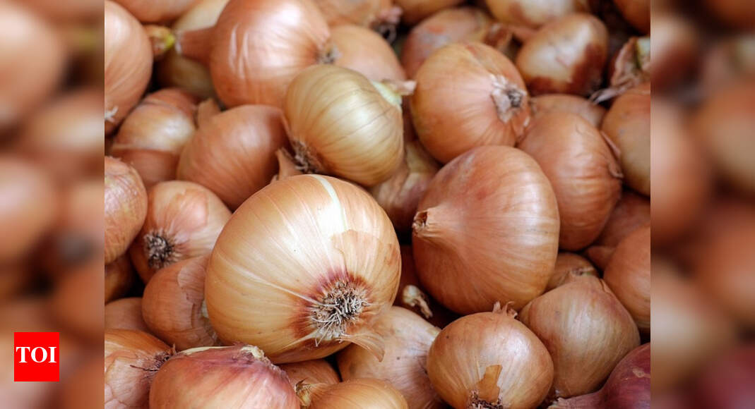 Nashik Average wholesale onion price stabilizes at Lasalgaon Nashik