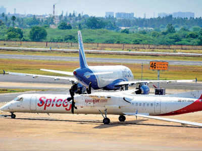Tamil Nadu govt wants domestic flights grounded till May 31