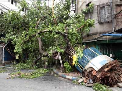 Cyclone Amphan considered even more destructive than Cyclone Aila: UN ...