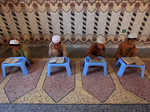 Muslims mark Ramazan with coronavirus lockdown around the world