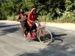 Meet Shravan Kumar of 21st century: Jyoti Kumari, who cycled 1,200 km carrying father