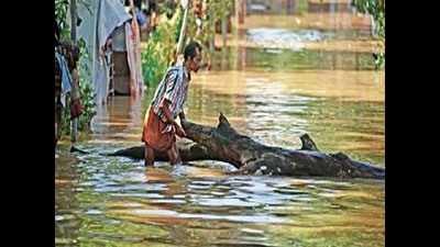 Heavy rain and flash floods wreak havoc in Thiruvananthapuram