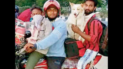Migrants from UP move lock, stock and pet dog on bike