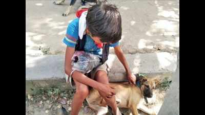 Delhi: Thrown out by landlord, boy reunited with family after a month