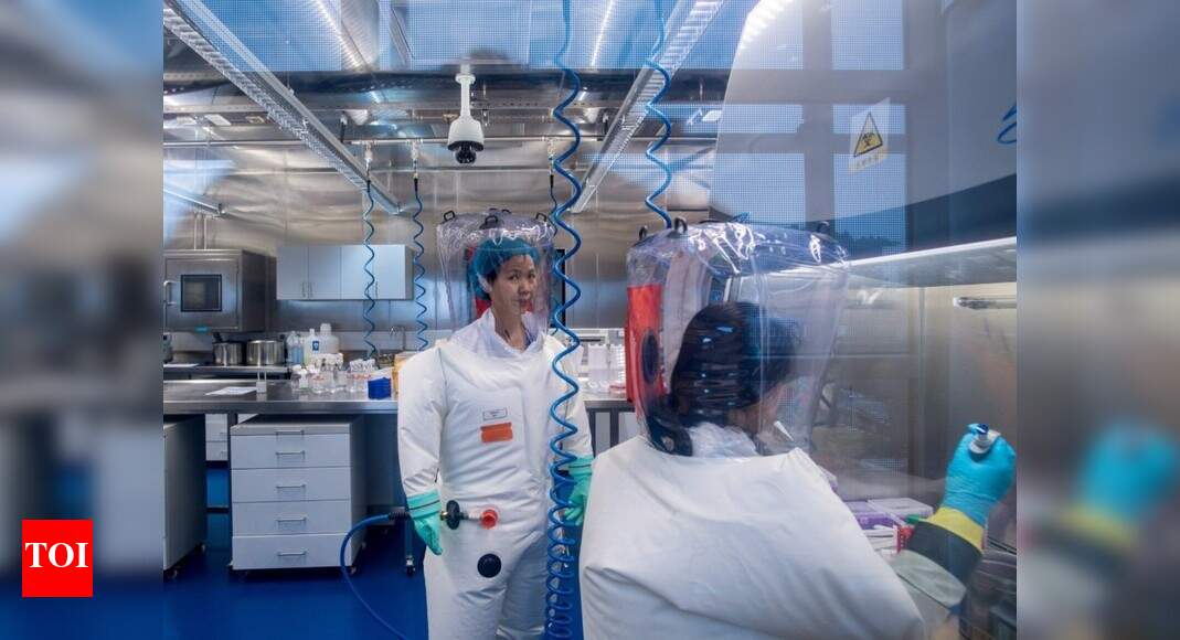 Wuhan lab had 3 live bat coronaviruses: Report