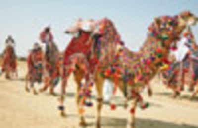 A three-day Desert Festival in Jaipur to experience Rajasthan