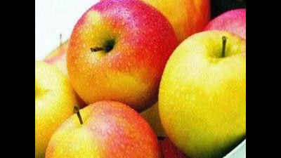 Himachal Pradesh apple to go online