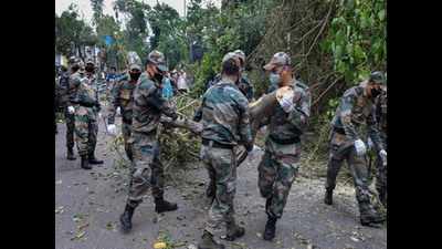 Kolkata: Clean-up on, new estimate pegs green loss at 15,000