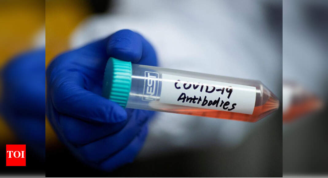 Prototype vaccine protects monkeys from virus
