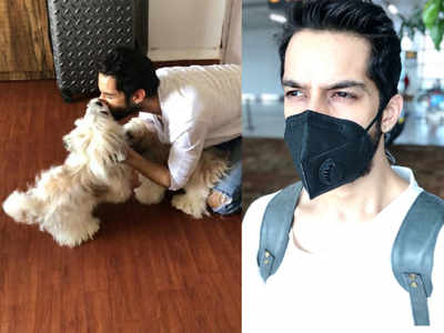 On Day 2 of flights resuming, Karan Vohra flies from Delhi to Mumbai to bring back his two dogs