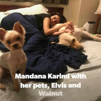 #LockdownLove: Actors spend time with pets showering unconditional love during lockdown