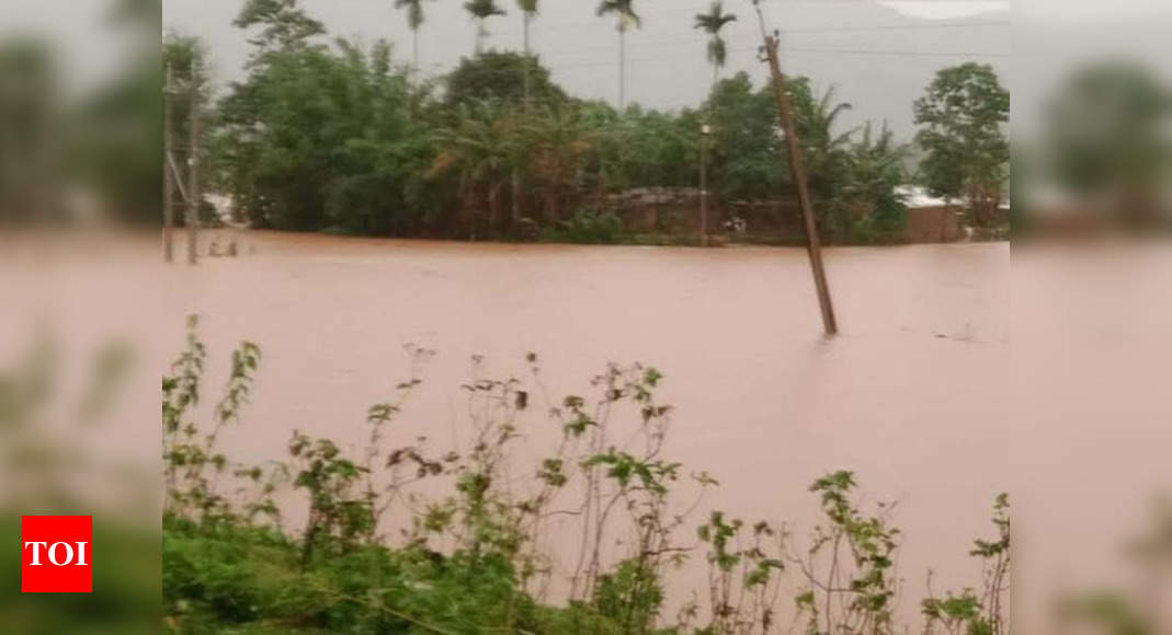 Assam floods hit nearly 2 lakh population; over 9000 take shelter in ...