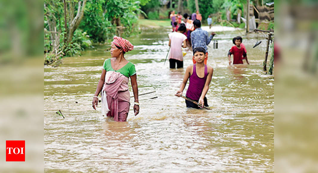 Floods Hit Nearly 2 Lakh In Seven Assam Districts Guwahati News Times Of India 2518