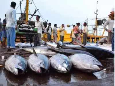 Centre to set up fisheries export hub in north India, prawn farming to be promoted in UP, Punjab, Haryana and Rajasthan