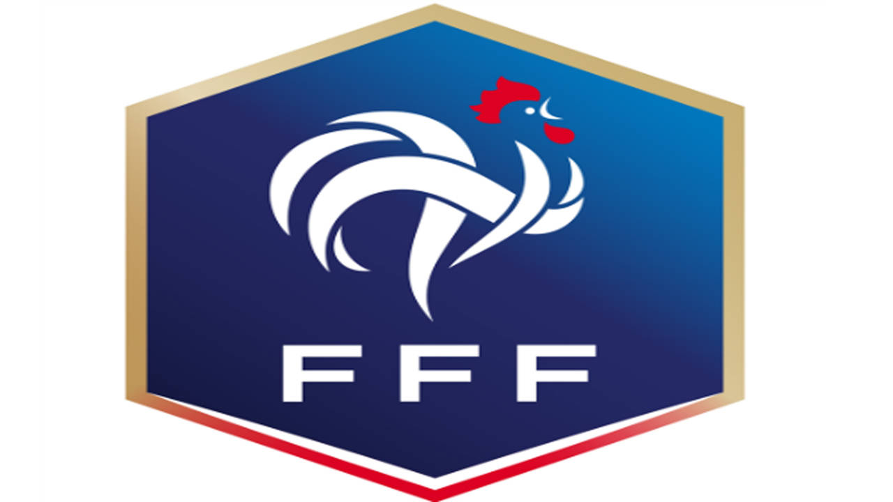 France National Team Logo Football Soccer Sticker Vinyl Decal Bumper Garage  | eBay