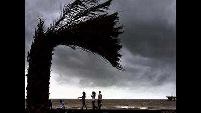 Onset of monsoon in Kerala likely by June 1: IMD