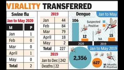 Massive dip in swine flu, dengue cases | Nagpur News - Times of India
