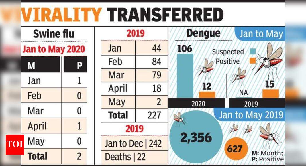 Massive dip in swine flu, dengue cases | Nagpur News - Times of India