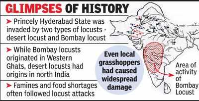 When locusts invaded Hyderabad State 90 years ago