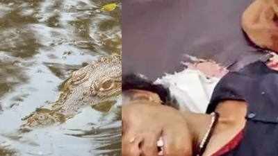 Madhya Pradesh: Village boys drive away crocodile, save 51-year-old woman