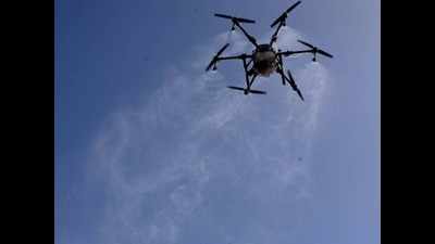 Haryana may take help of drones to check infestation