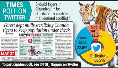 Conservation news on Tigers