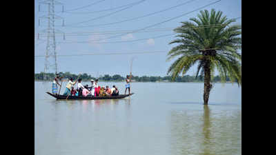Assam flood casualty numbers overtake Covid-19 deaths