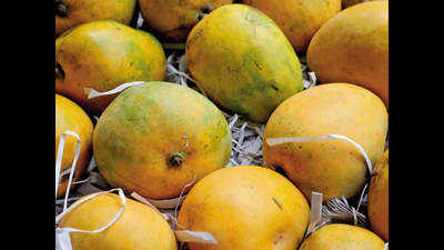 First ever mango export from Varanasi
