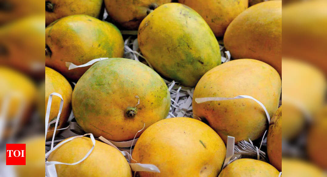 First ever mango export from Varanasi Lucknow News Times of India