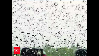 Met predicts rain in parts of Bihar
