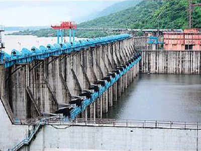 Soon, Bisalpur dam gates will function automatically - Times of India