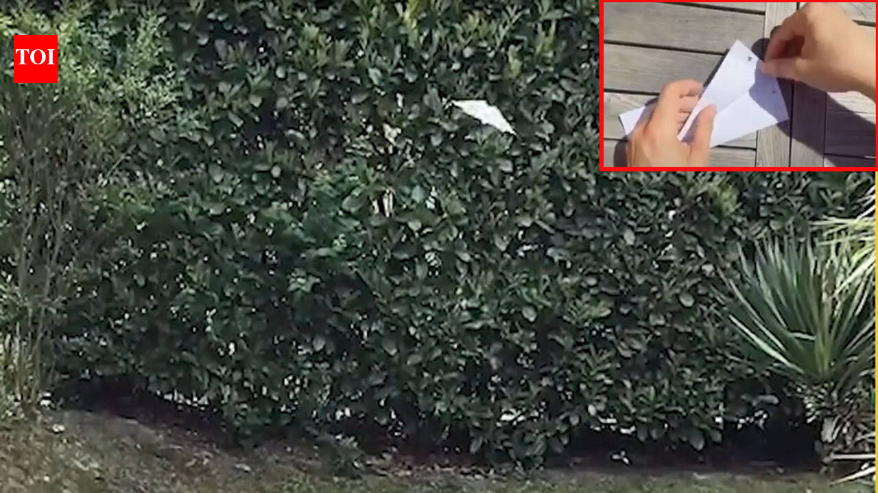 Make a bat paper plane in 60 seconds