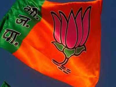 BJP set to technology-driven political activities ahead of Bihar polls |  India News - Times of India